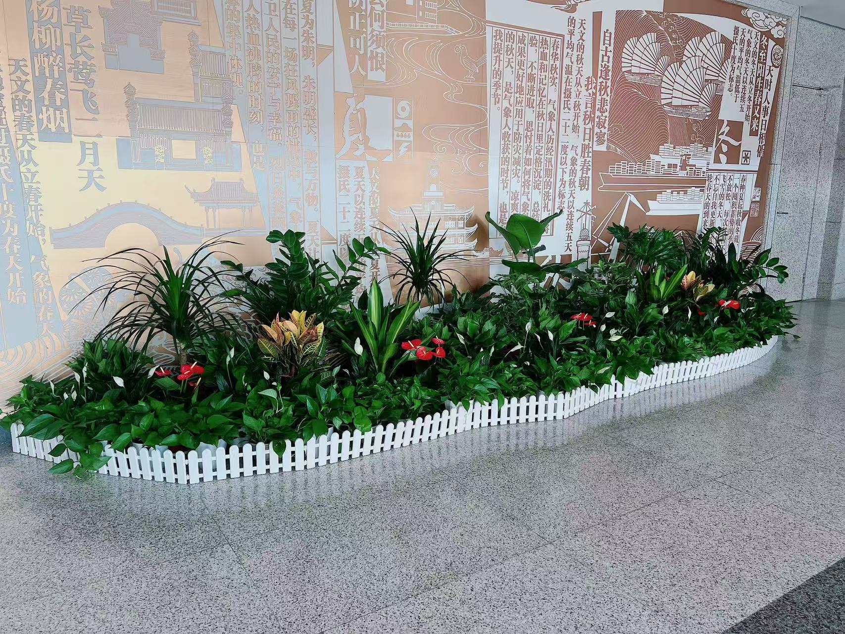 宁波慈溪盆景出租方案